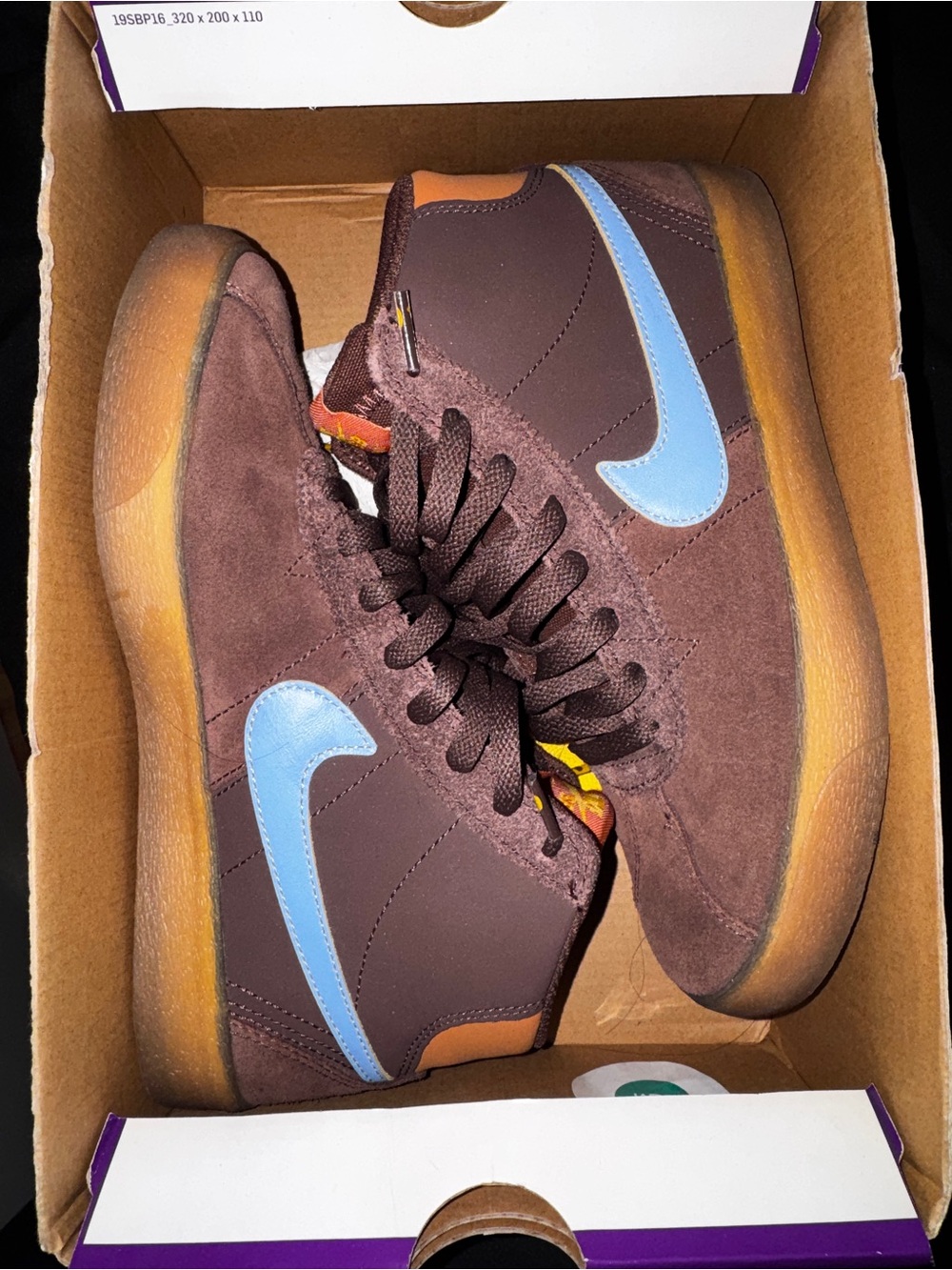 Nike SB